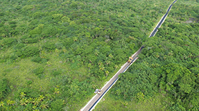 中國援助紐埃環(huán)島公路升級項目