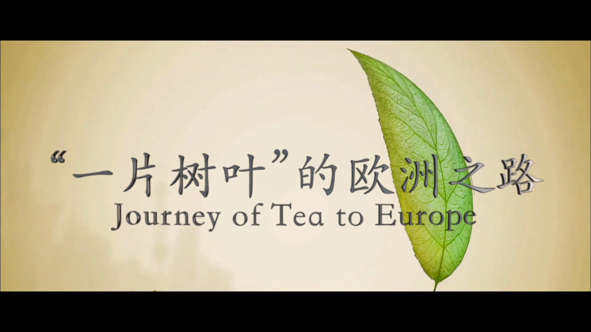 “一片樹葉”的歐洲之路