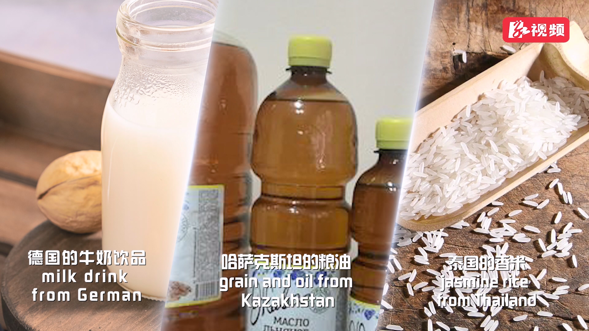 跨山越海這十年③丨路的呼喚！“舶來品”飛入尋常百姓家